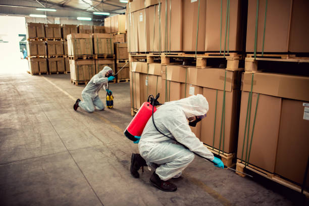 Trusted La Joya, TX Pest Control Experts