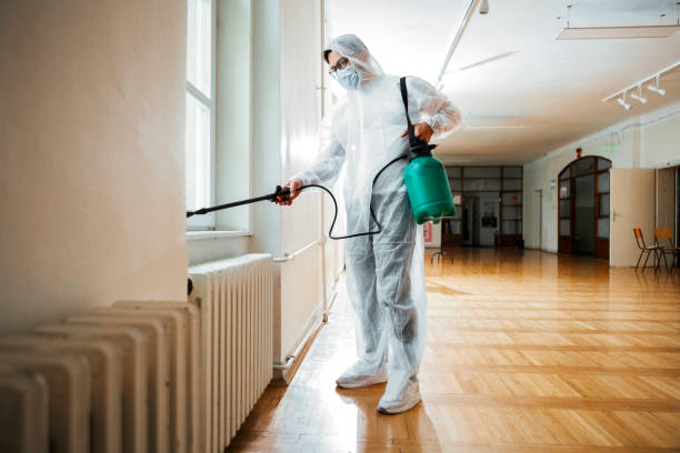 Best Mosquito Control Services  in La Joya, TX