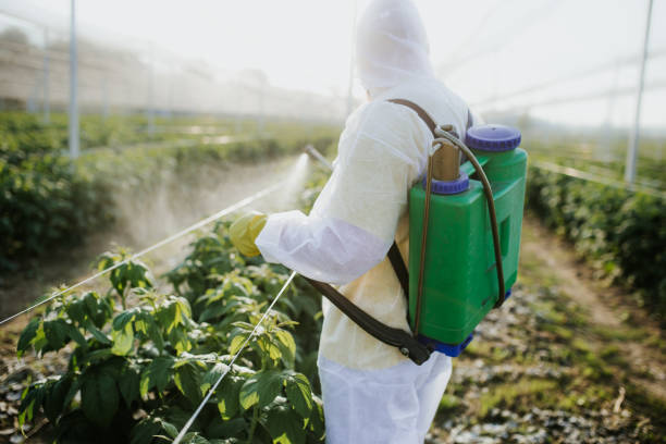 Best Pest Control Near Me  in La Joya, TX